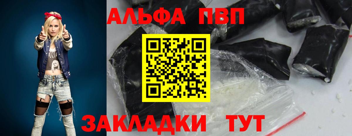 Альфа ПВП СК Магадан