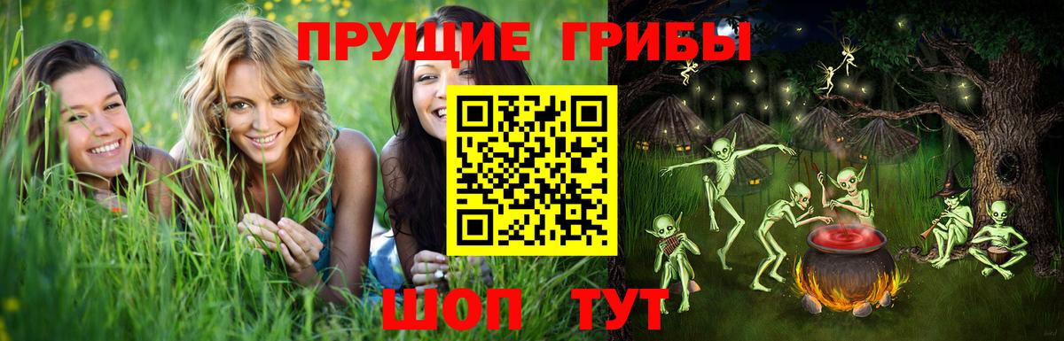 Магадан  наркота  Вход с VPN  Псилоцибиновые грибы GOLDEN TEACHER 